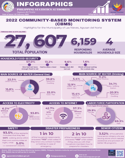 2022 Community-Based Monitoring System (CBMS) Las Nieves