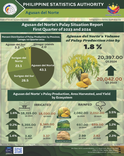 Agusan del Norte's Palay Situation Report First Quarter of 2023 and 2024