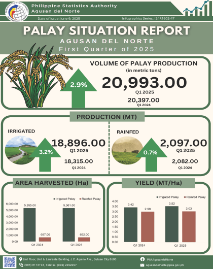Palay Situation Report of Agusan del Norte for the First Quarter of 2025