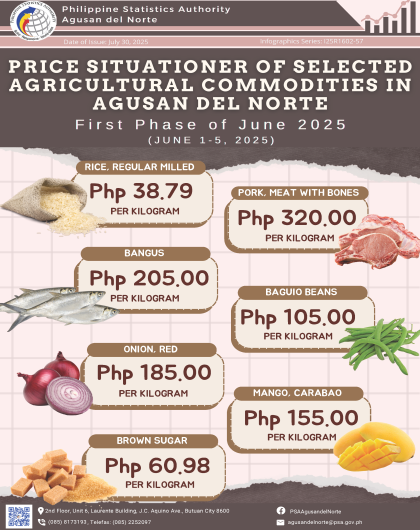 Agusan del Norte Price Situationer June 2025