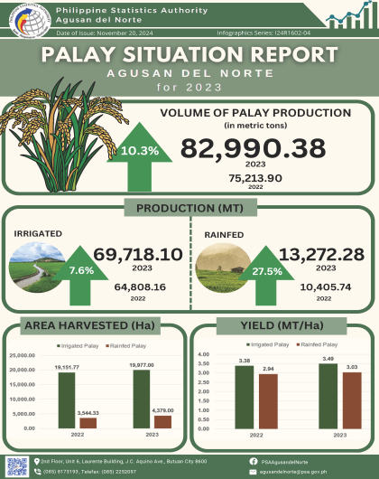 Palay Situation Report Agusan del Norte for 2024