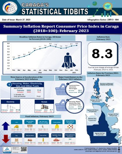 Summary Inflation Report Consumer Price Index in Caraga  (2018=100): February 2023 (2018=100): February 2023