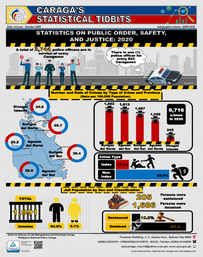 STATISTICS ON PUBLIC ORDER, SAFETY, AND JUSTICE: 2020