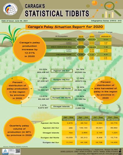 Caraga's Palay Situation Report for 2020