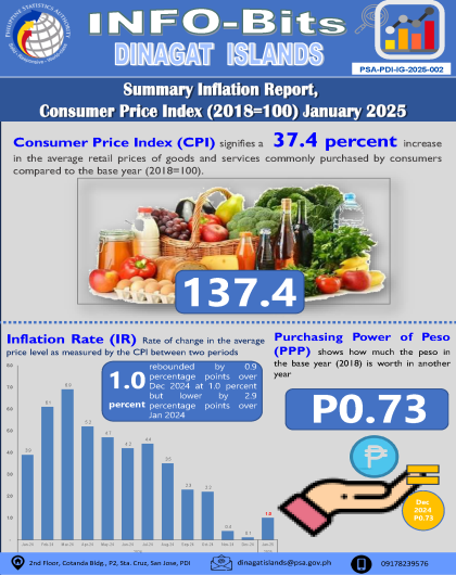 PDI - Summary Inflation Report Consumer price Index for All Income Household (2018=100) January 2025