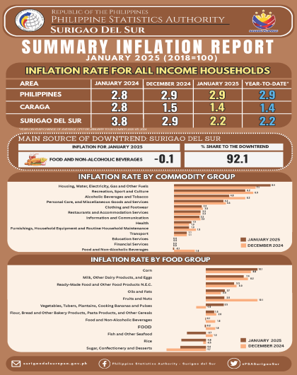 SDS - Summary Inflation Report Consumer Price Index (2018=100) January 2025