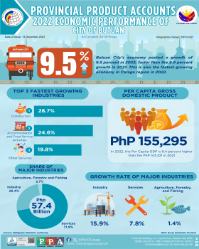 Infographics_ApprovedCaraga_PPA