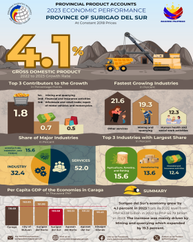 Provincial Products Account 2023 Economic Performance Province of Surigao del Sur